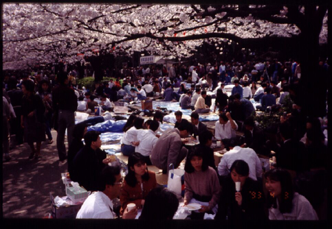 Hanamini in Ueno park