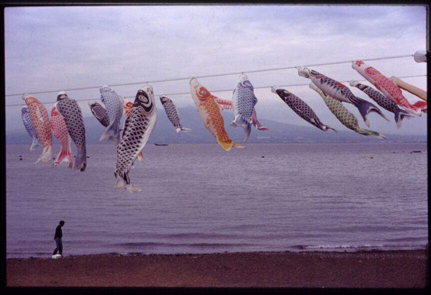 Koinobori