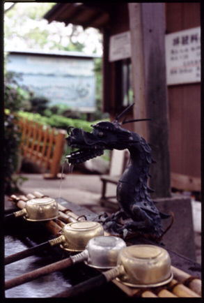 Entrance at the Shuzenji temple