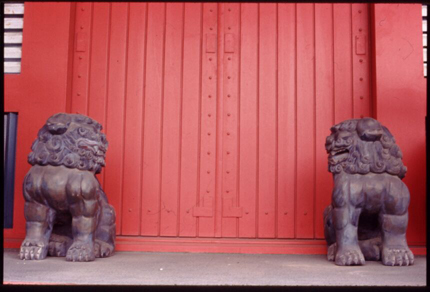 Guarding lions