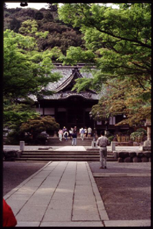 On the way to the temple