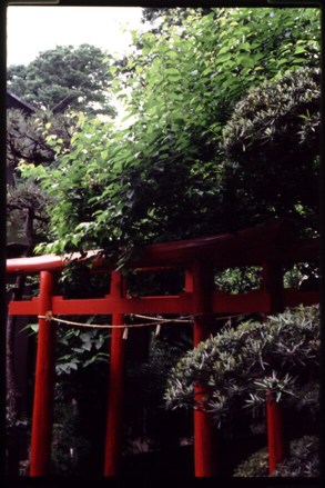 Small torii