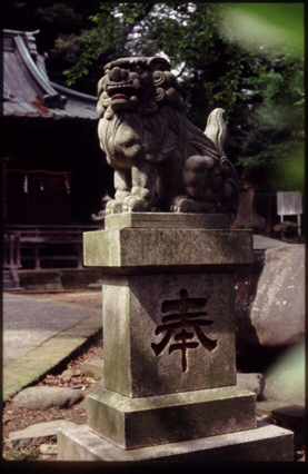 Temple guardian